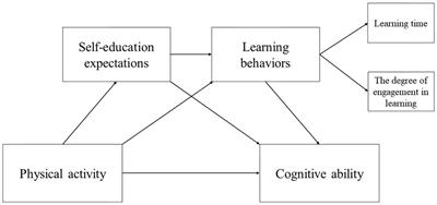 Physical activity promotes the development of cognitive ability in adolescents: the chain mediating role based on self-education expectations and learning behaviors